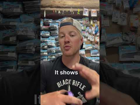 What Color Braided Fishing Line Should You Be Throwing??
