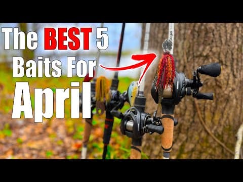 The BEST 5 Baits To Use For April Bass Fishing