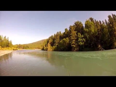 Fly Fishing For Rainbow Trout on the Kenai
