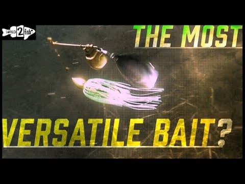 4 Tips to Increase Spinnerbait Fishing Success