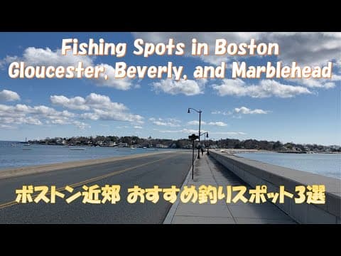 Fishing spots and commonly caught fish in Boston | Gloucester, Beverly, and Marblehead