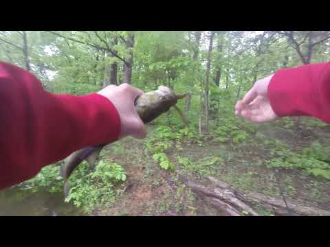 Catching a Deformed Fish and Falling in the Lake..