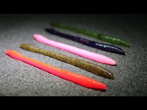 One of the BEST WORMS Ever Created! (Tackle Organization Day 2)