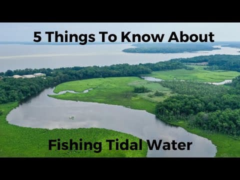 5 Things You Need To Know About Tidal Water To Help You Catch More Fish!