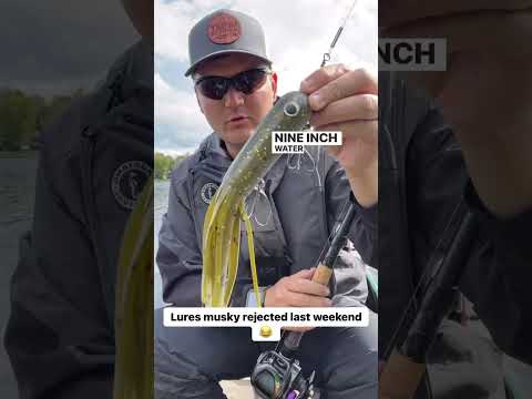 Ontario Musky Fishing Lures #muskyfishing
