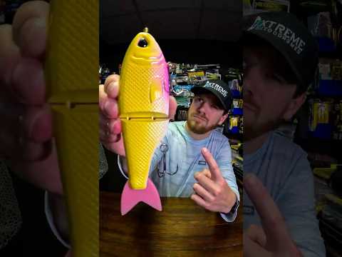 Throwback Baits Metro Glide Swimbait fall fishing challenge! #fishing #fishingvideo #bassfishing
