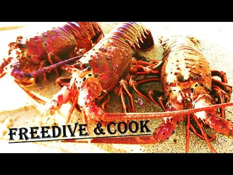 Diving Secret Spot for LOBSTER in California!