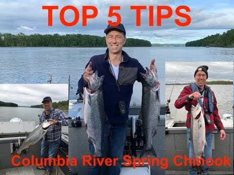 5 Tips for Successful Spring Chinook Salmon Fishing on the Columbia River