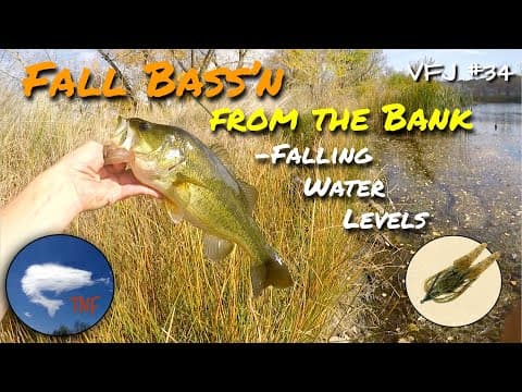 Low Water Carnage! Fall Bass Fishing From the Bank: VFJ34