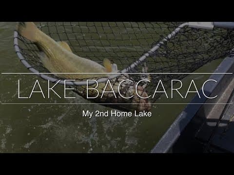 What lake to pick Baccarac, El Salto or Picachos to go Bass Fishing at in Mexico