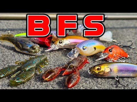 SPRING BUYER&#39;S GUIDE: BFS ( Bait Finesse System: Rods, Reels, Baits, Tackle )