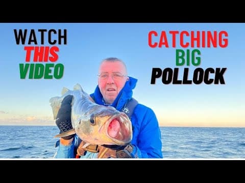 LURE Fishing FOR POLLOCK: How to Catch These Massive Fish |sea fishing uk|