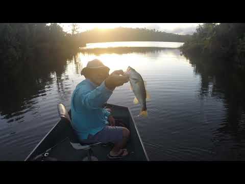 Largemouth Bass Fishing in Puerto Rico HD march 2020 alta.