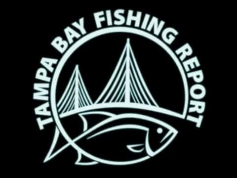 Tampa Bay Fishing Report ~ Inshore ~ Offshore