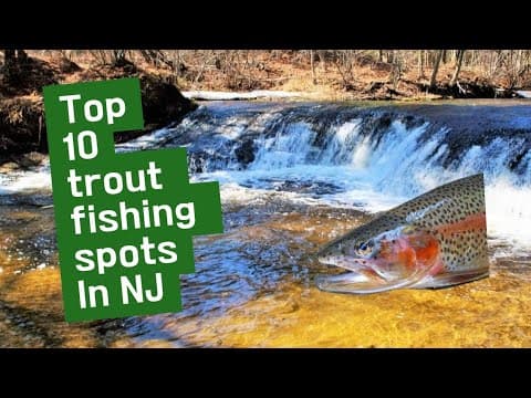 Top 10 Trout Fishing Streams in NJ