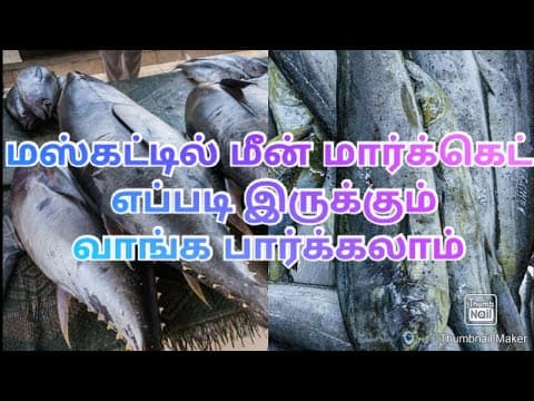 Fresh fish market in muscat (mutrah fish market /new fish market /fresh fish/varieties of sea food)