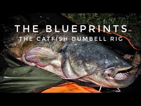 The Blueprints - The Catfish Dumbell Rig