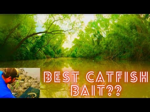 WHY do CATFISH Love THIS Bait? San Antonio, Texas 23&#39;