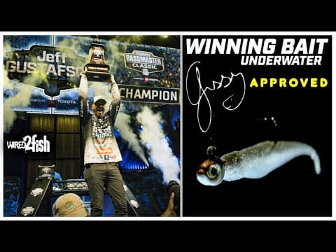 Gussy&#39;s Bassmaster Classic Winning Bait | Underwater Look