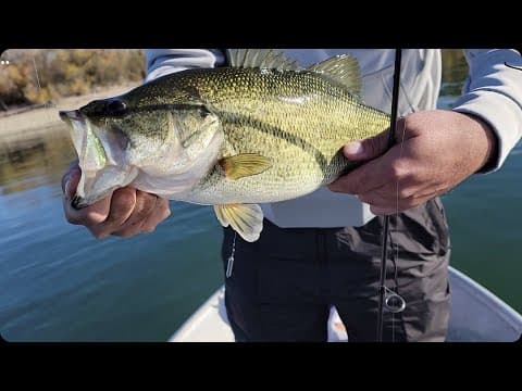 Southern California Winter Bass Fishing