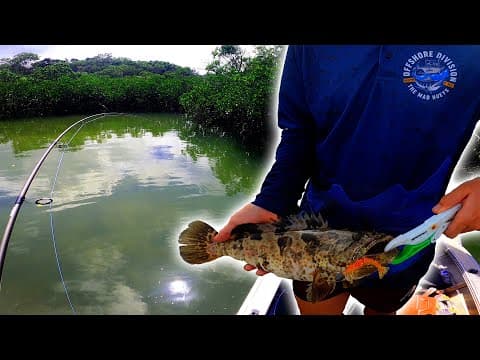 INSHORE REEF FISHING AND SKIPCASTING THE GREAT SANDY STRAITS KGARI