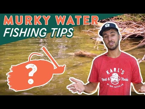 Best Baits for Fishing Murky Water! (Bass Fishing Tips)