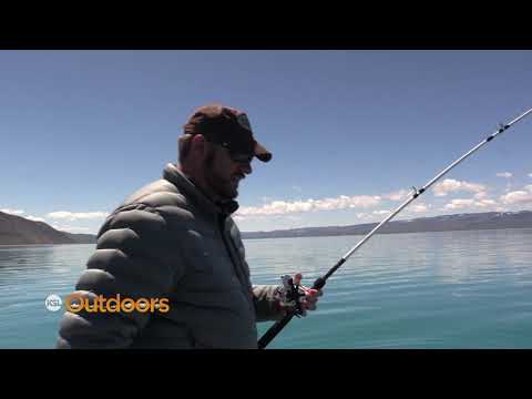 Utah and Idaho Launch Lake Trout Study at Bear Lake