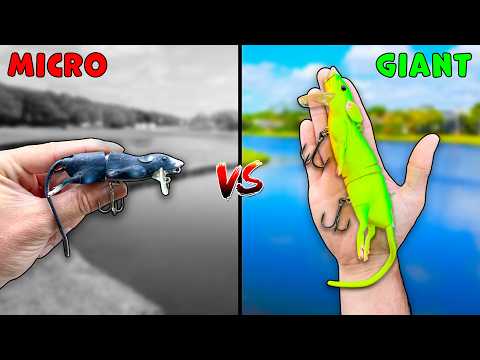 Micro Topwater vs Giant Topwater Fishing Challenge