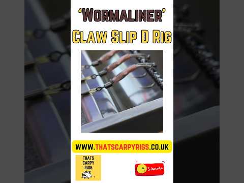 Slip D Spinner Rig - EXCELLENT presentation to catch carp  #carpfishing #carprigs #carp #fishing