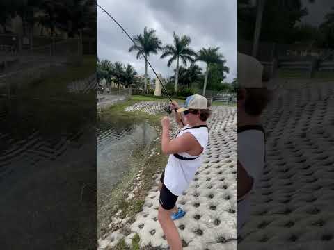 South Florida canal  fishing peacock bass