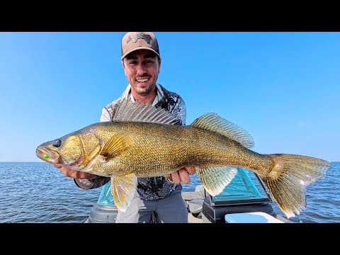 How to Find Walleyes on Lake of the Woods (Best Lake in Minnesota?)