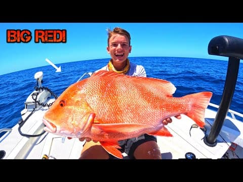 AUSTRALIA&#39;S MOST PRIZED REEF FISH! (Hervey Bay Fishing)