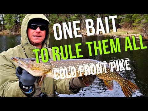 Best Lure For Cold Front Pike - You&#39;re Probably Not Using!