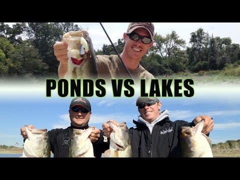 Pond Fishing VS Lake Fishing - Q&amp;A with LakeForkGuy