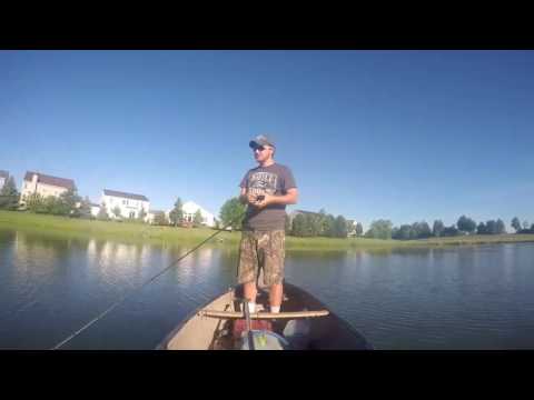 Fishing a Texas rig in grass