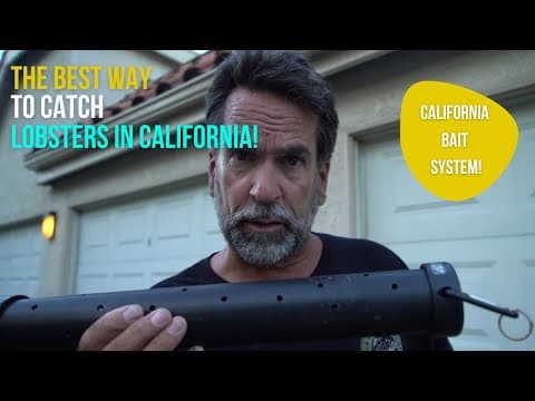 The Best Way to Catch Lobsters in California!