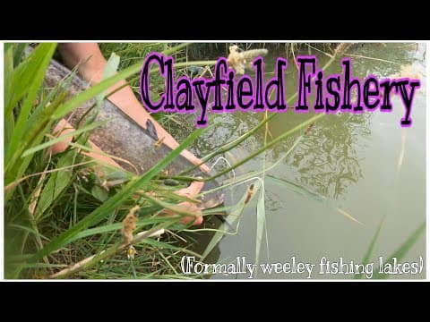 Catfish Clayfield Fishery Weeley