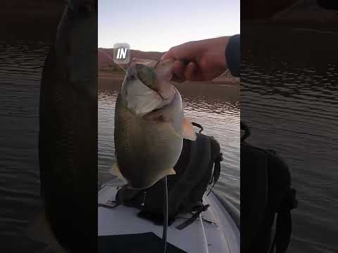 3 Lipless Crankbait Mistakes to Avoid. #bassfishing