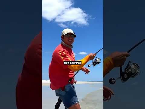 BEST method for catching HUGE FISH from the beach! #fishing