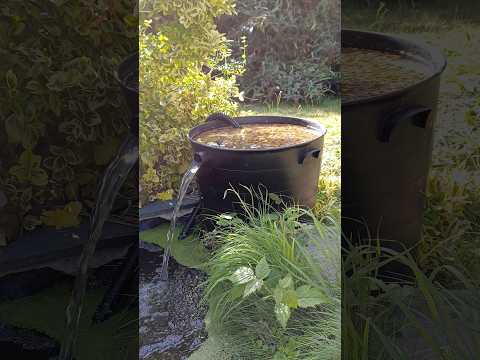 Get Crystal Clear Water ~Pond Filter Build~