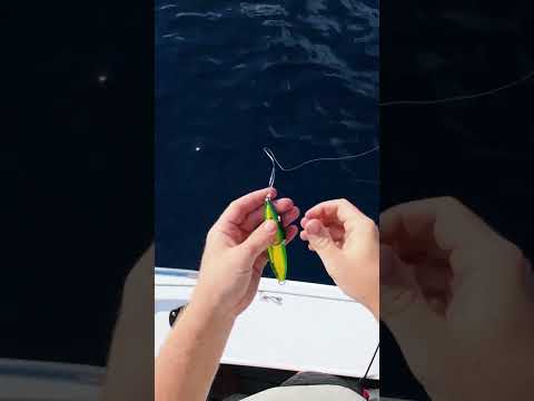 How I rig a jig! #fishing #fish #boat #jigging