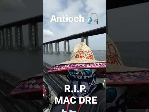 bay area fishing