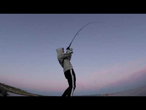 Shore Jigging - Un pesce al primo lancio