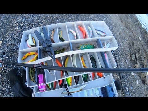 What I use at Pyramid lake (lures)