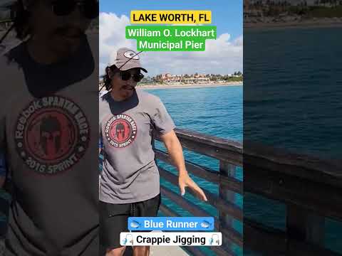 Fishing for Keepers at William O. Lockhart Municipal Pier in Lake Worth Florida!