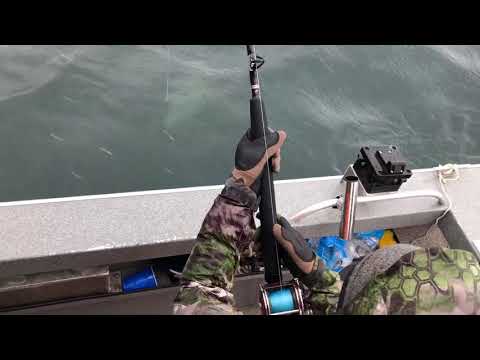 Halibut fishing Prince William Sound Alaska