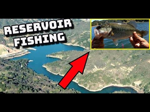 Stevens Creek Reservoir Bass (Learned to Fish Here)