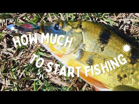 How much does it take to start fishing in singapore?