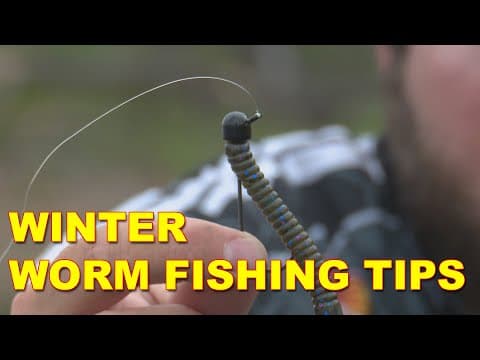 Winter Worm Fishing Tips for Bass Fishing | Bass Fishing