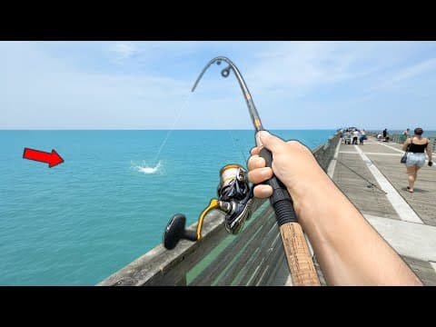 Florida PIER Fishing! I&#39;ve NEVER Seen This.. (Catch and Cook)